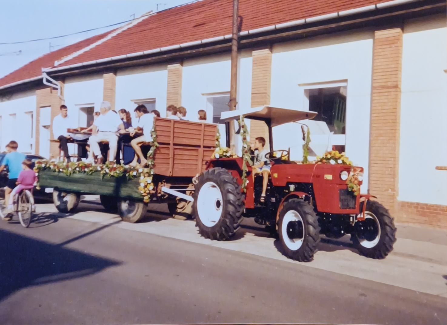 Rózsa